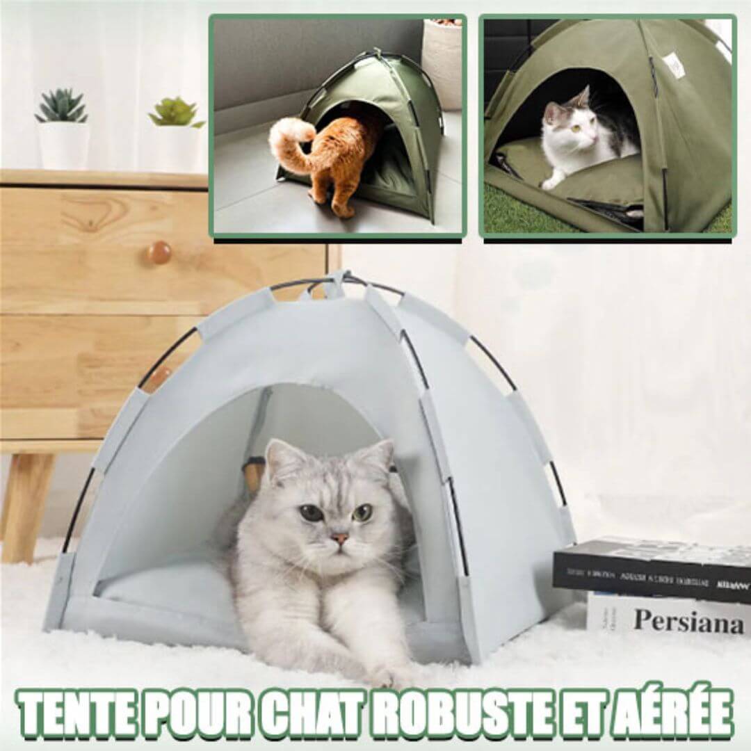 niche-chat-animal-de-compagnie