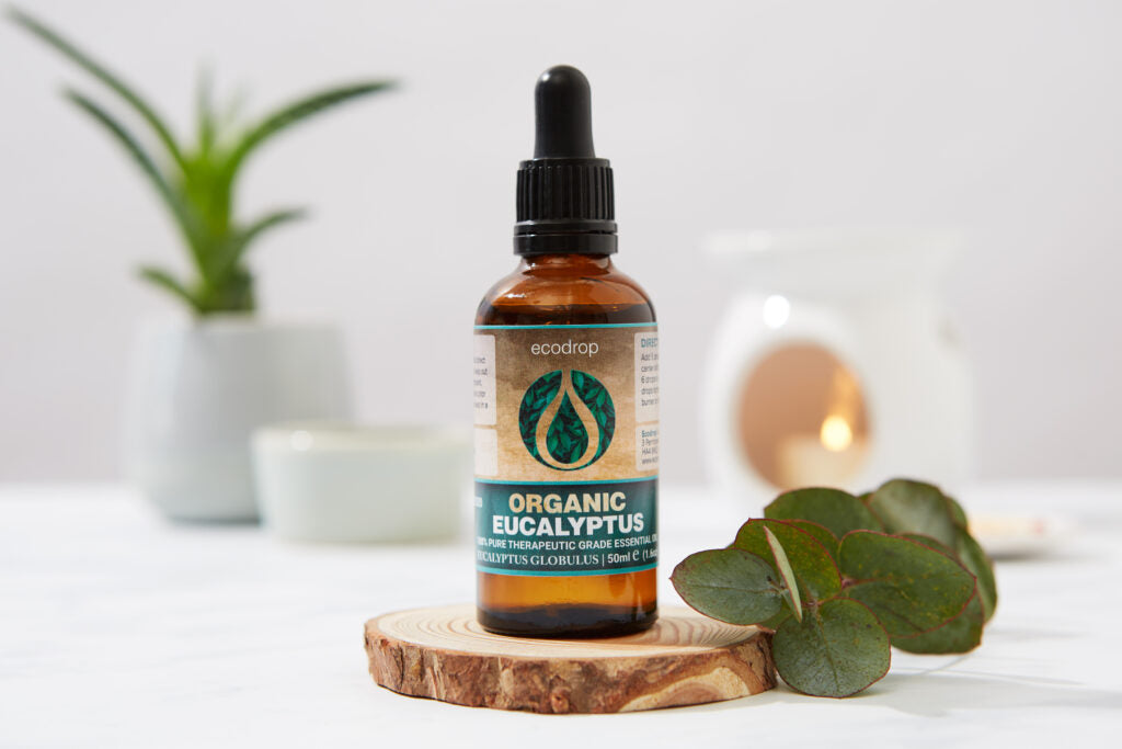 eucalyptus essential oil