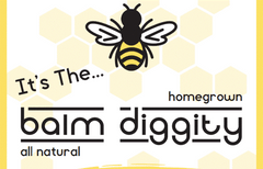 balm diggity - lip balm using beeswax and just a few natural ingredients