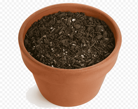 plant soil - Hortyjardín
