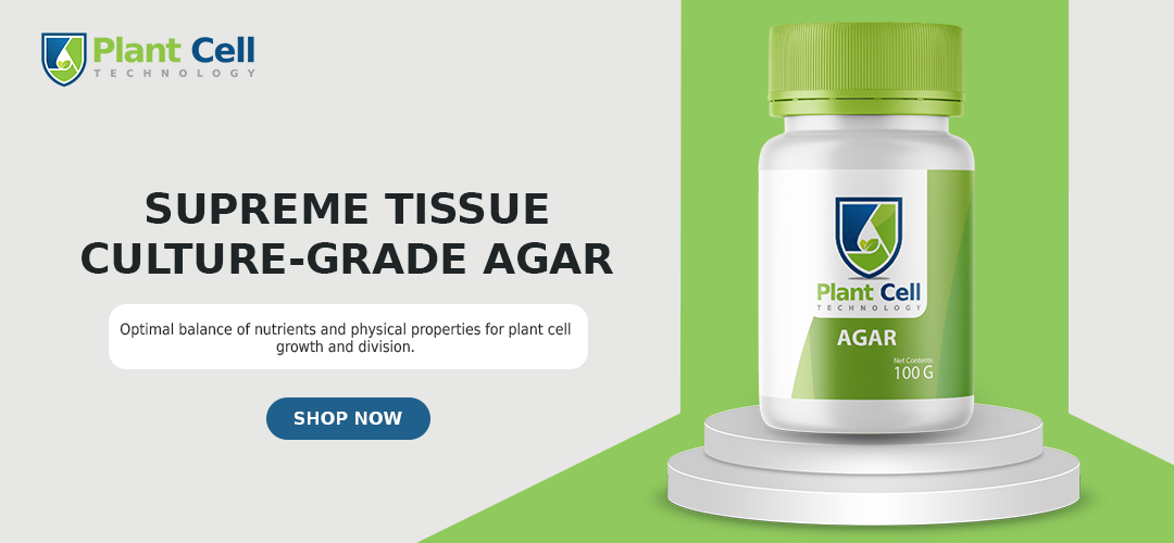 Buy PCT Agar NOW!