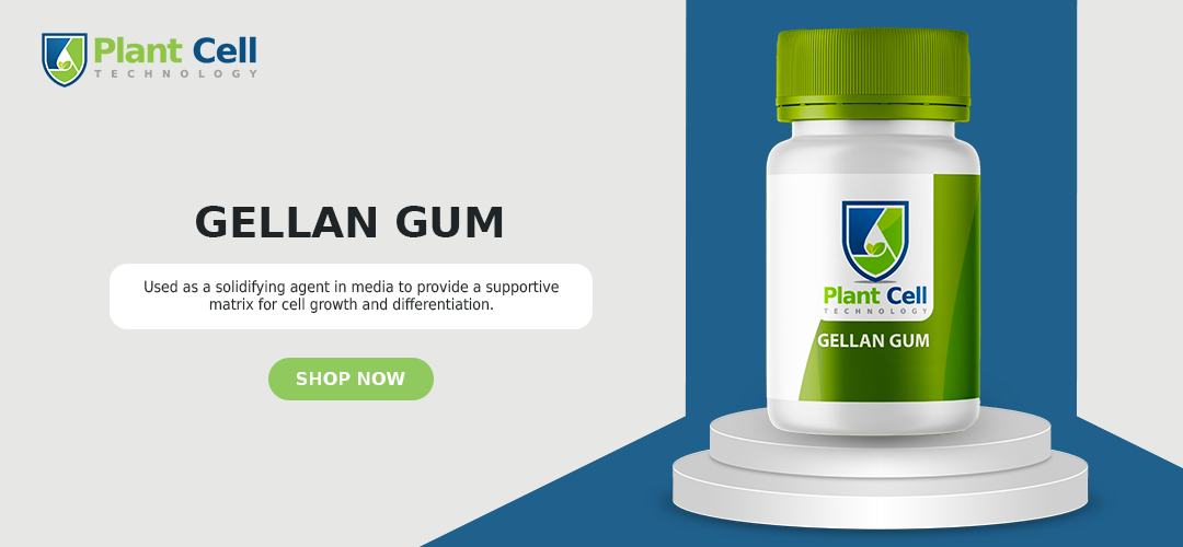 Get Gellan Gum NOW!