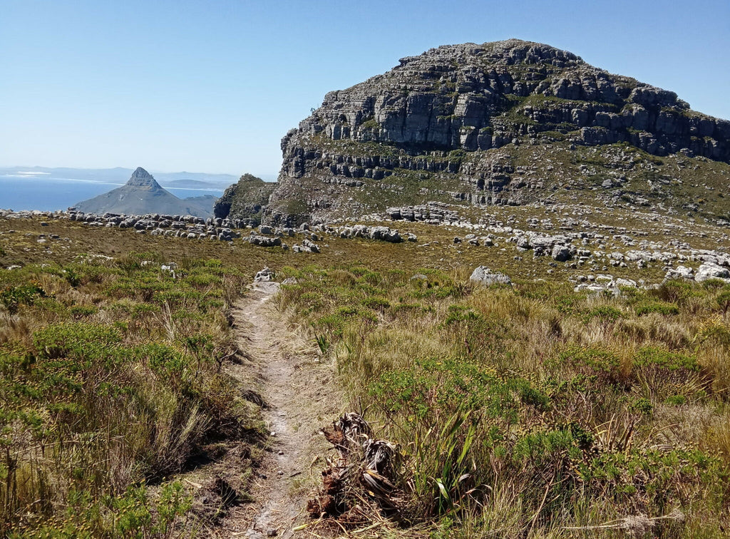 Pint_for_purpose_table_mountain