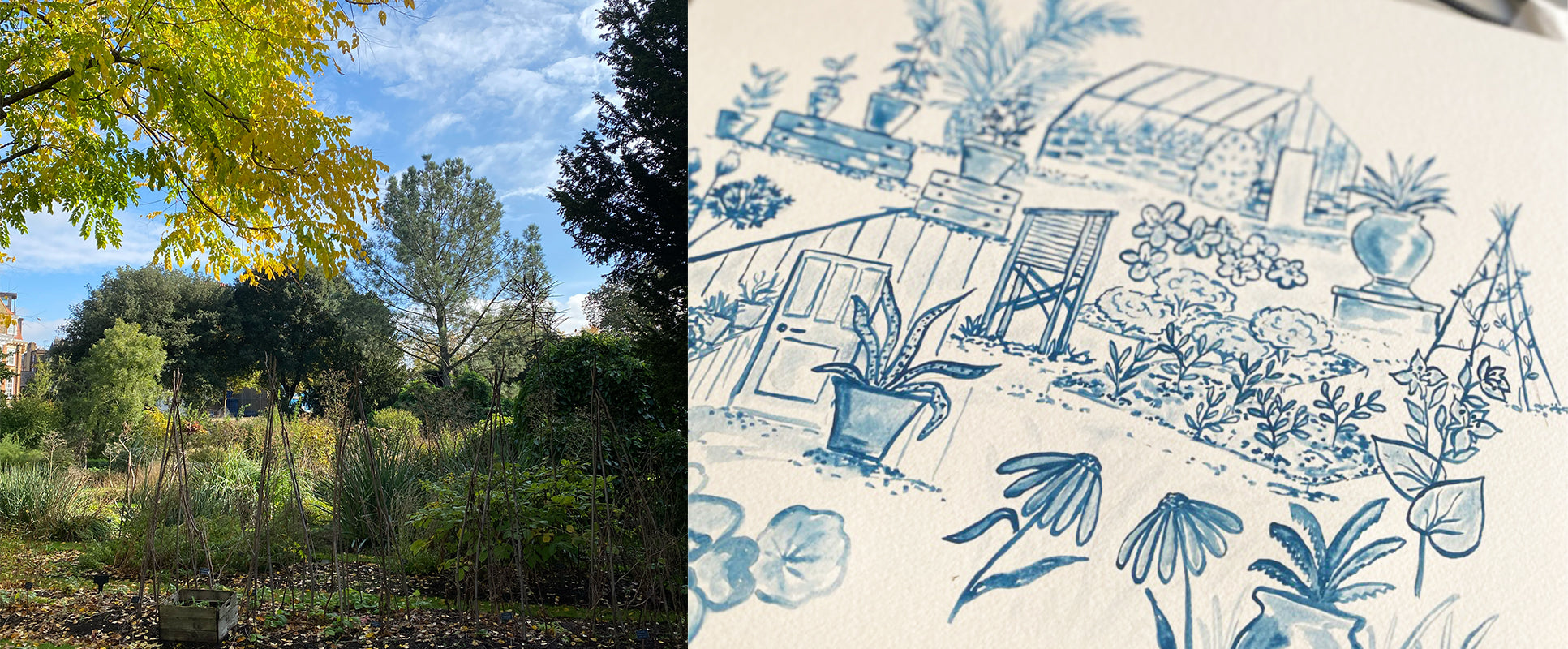 Holly Woodman Sketching At Chelsea Physic Garden