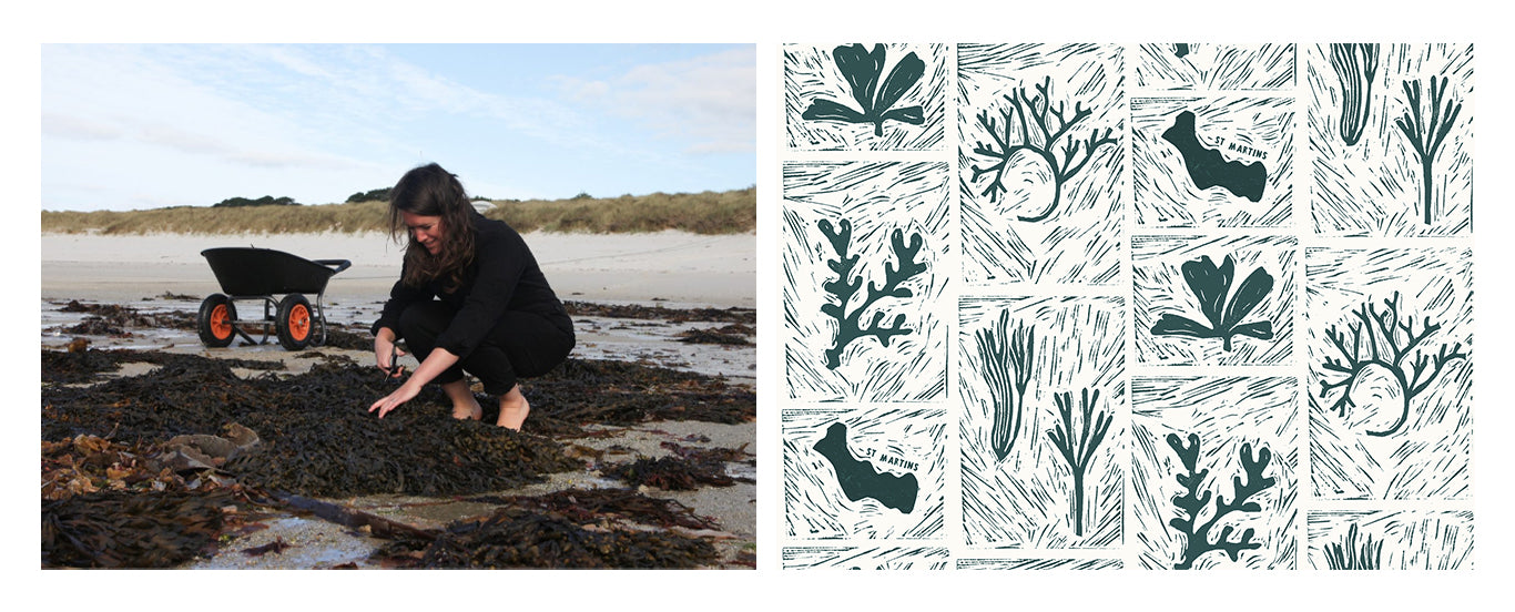 Seaweed Lino print design for Phoenix and Providence Scilly based skincare products made from seaweed