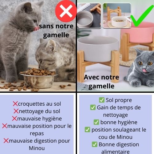 gamelle-chat-surélévée-différences