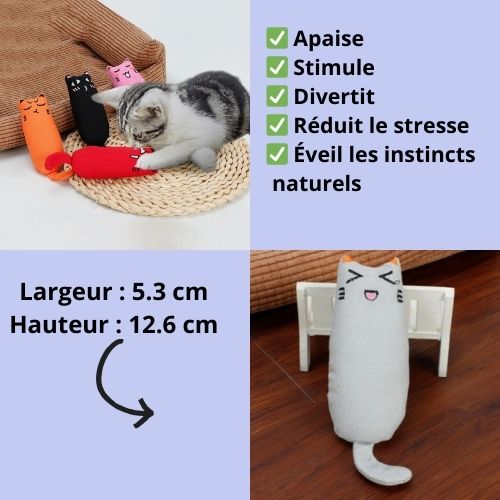 doudou-pour-chat-taille