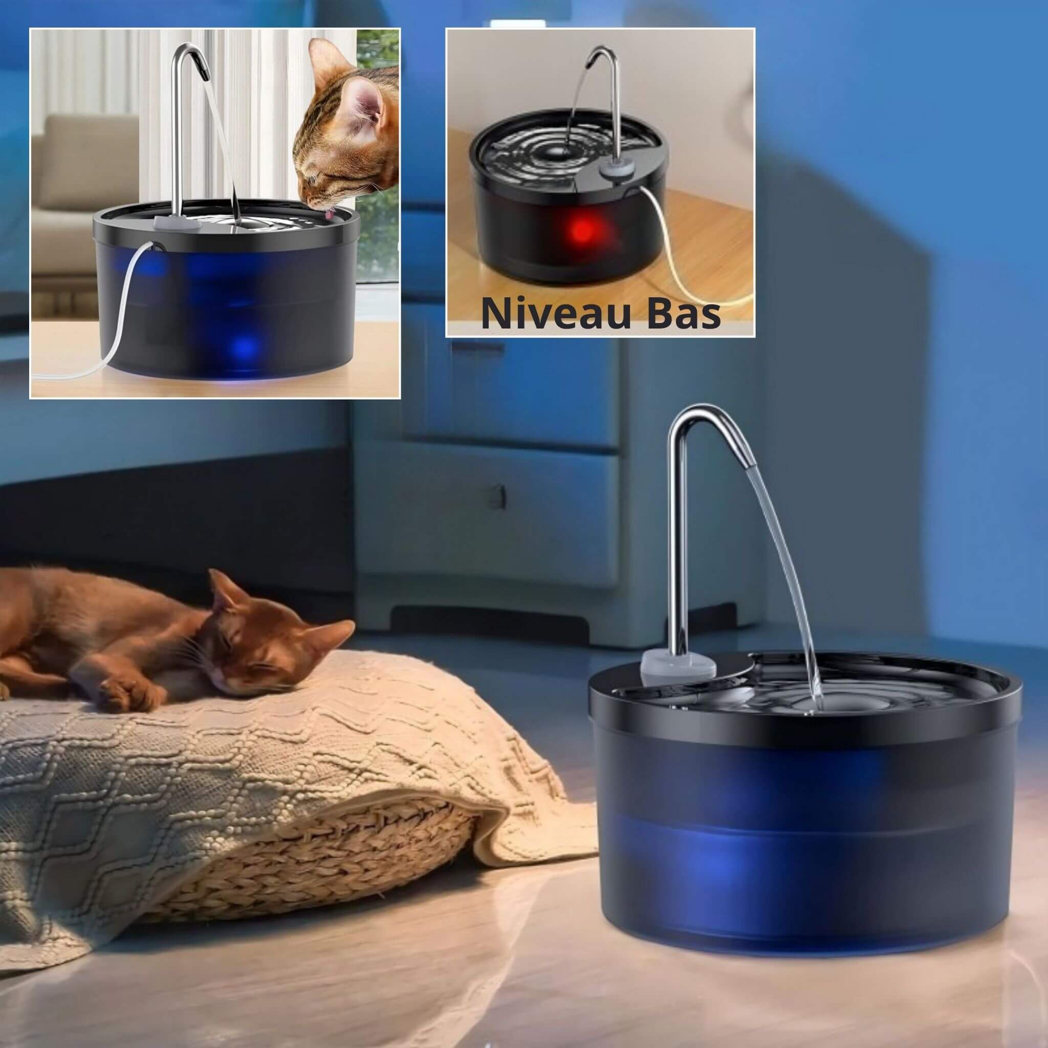 fontaine-a-eau-pour-chat-led