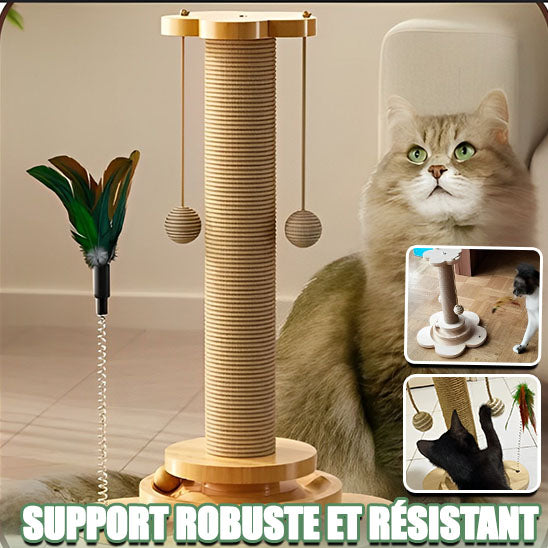 jouet-chat-interactif-robuste