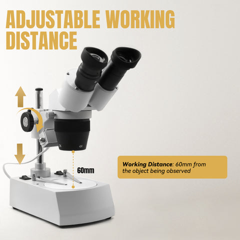 Optical Stereoscopic Microscope,HH-MS05A