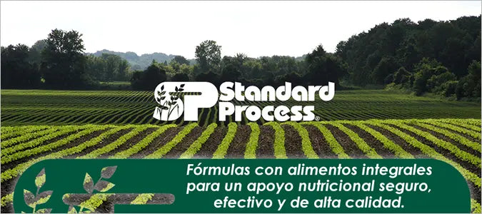 productos standard process