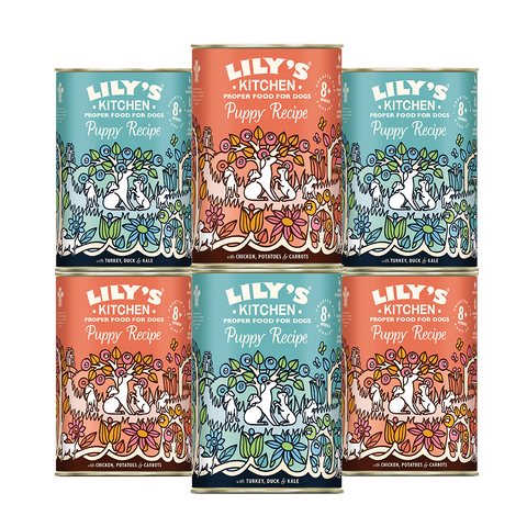 lily's kitchen tins