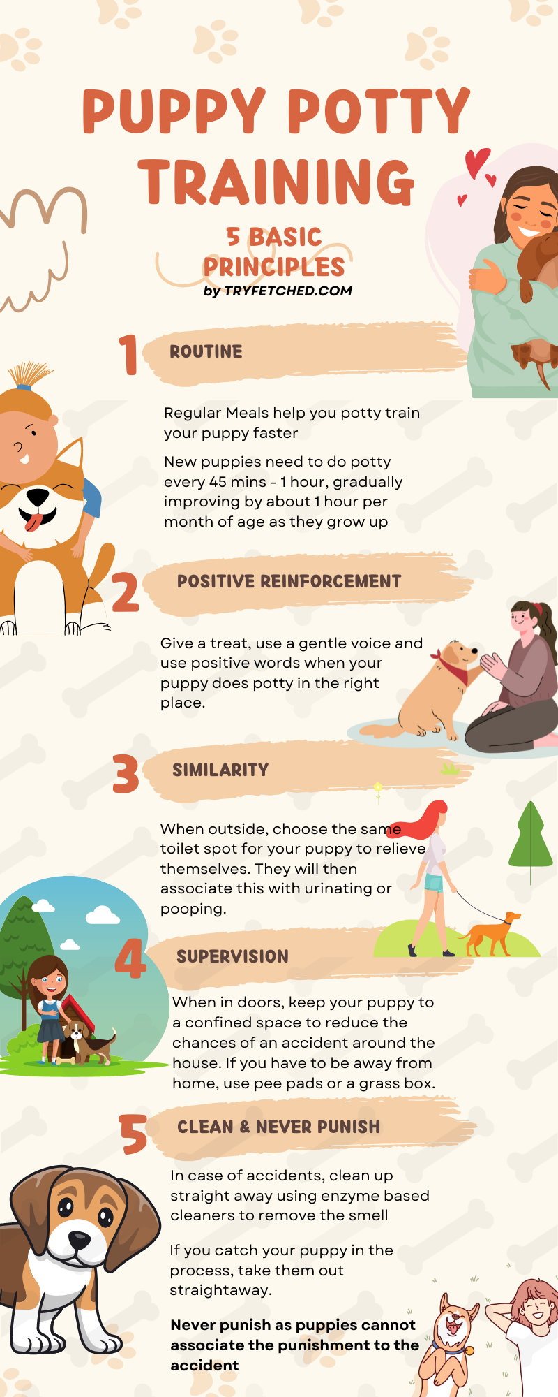 how to potty train a puppy infographic