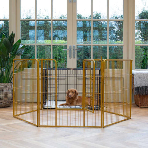 lords and labradors golden play pen
