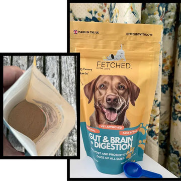 dog probiotic and blue scoop.webp