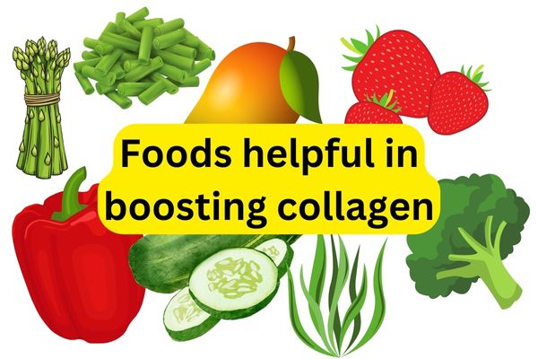 foods helpful in boosting collagen for dogs