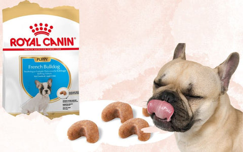 royal canin puppy food for french bulldog shape and packaging