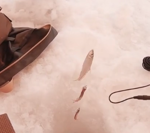ice fish finder