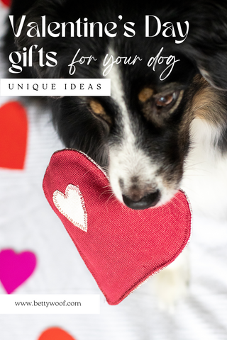 Valentines day gift ideas for dog new puppy dog owner or dog mom