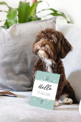 Puppy First Milestones Card Printable New Puppy Milestone Cards