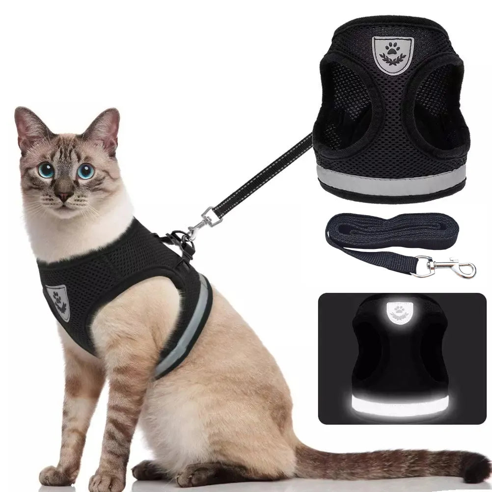 Breathable Cat Harness and Leash: Escape-Proof Pet Clothes Vest for Kitten, Puppy Dogs - Adjustable, Reflective, Easy Control
