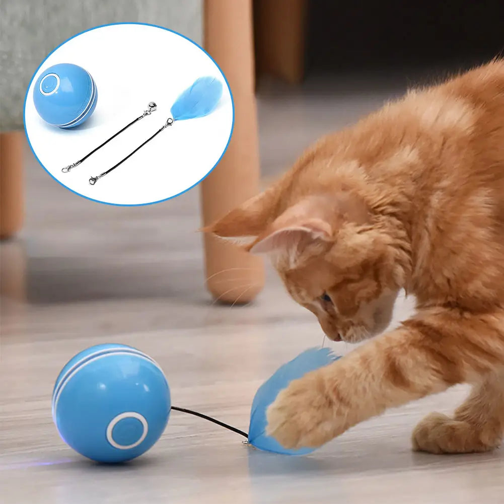 LED Laser Cat Ball