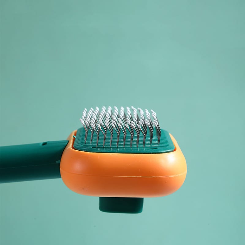 Massage Hair Brush