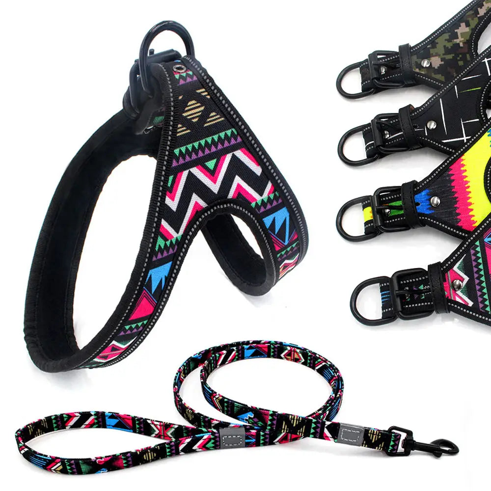 Colorful Dog Walking Rope