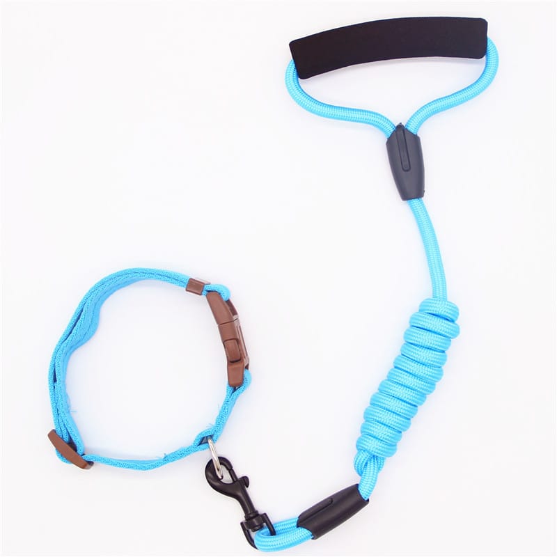 Dog Leash with Collar and Chain