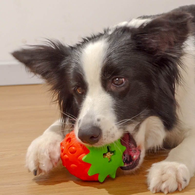 Teeth Cleaning Dog Toy Ball