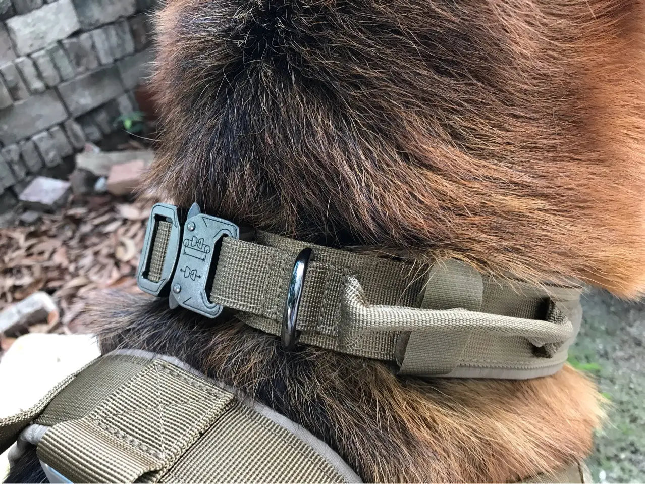 Pawsome Pup Collar