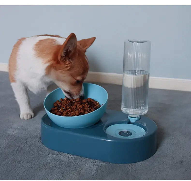 Double Bowl Automatic Pet Feeder