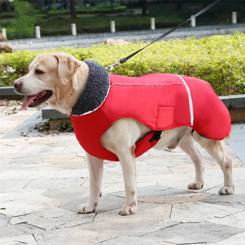 Thick Warm Dog Vest