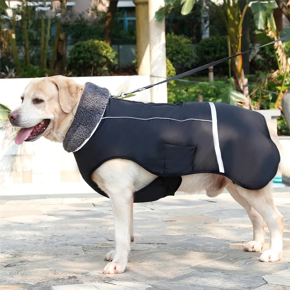 Thick Warm Dog Vest