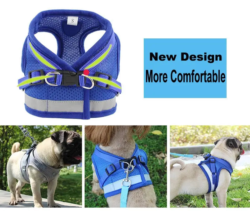 Dog Harness and Leash Combo