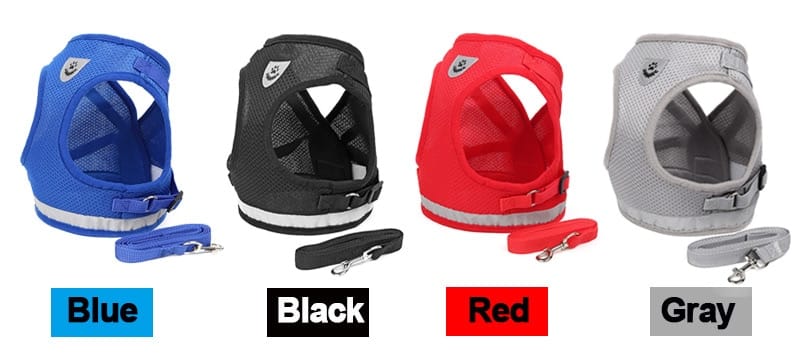 Dog Harness and Leash Combo