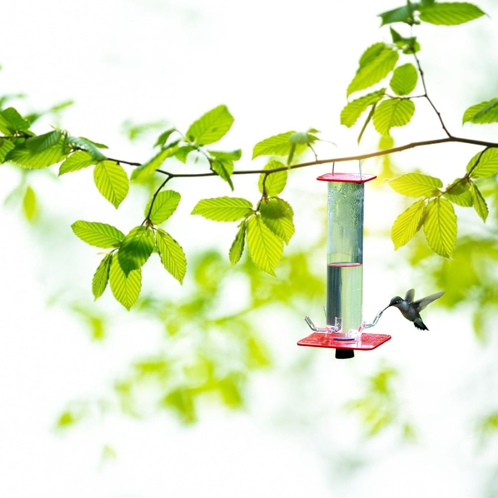 Hanging Bird Feeder