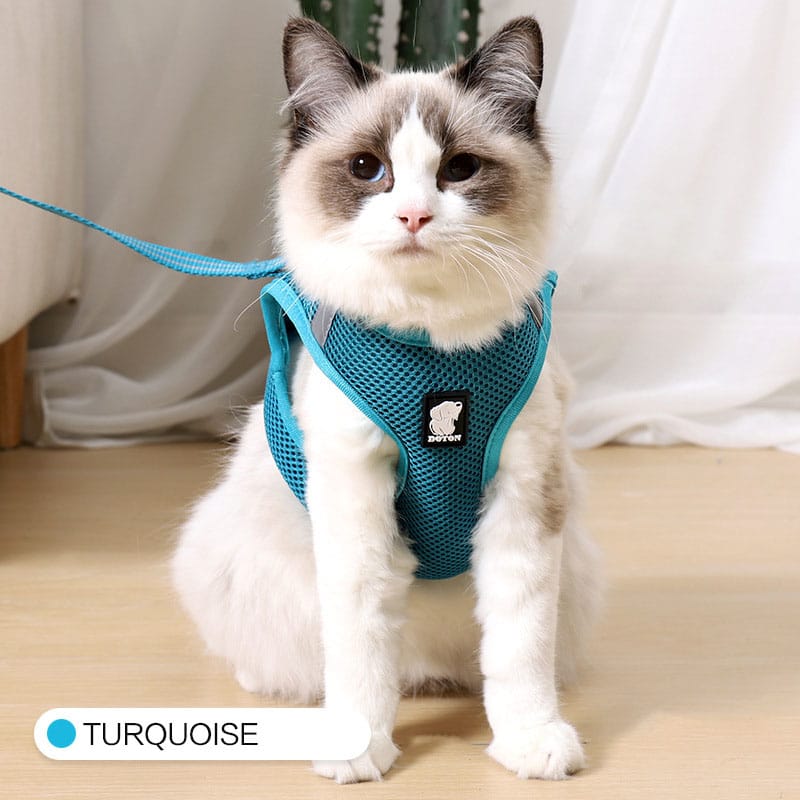 Anti-Strike Cat Harness