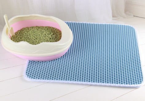 Double Layer EVA Pet Mat