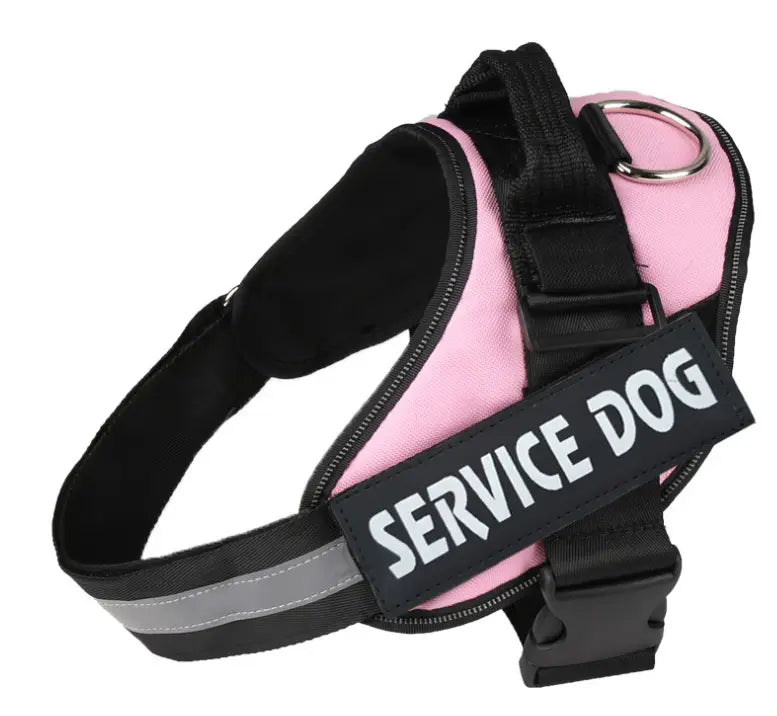 Pet Chest Harness with Traction Rope