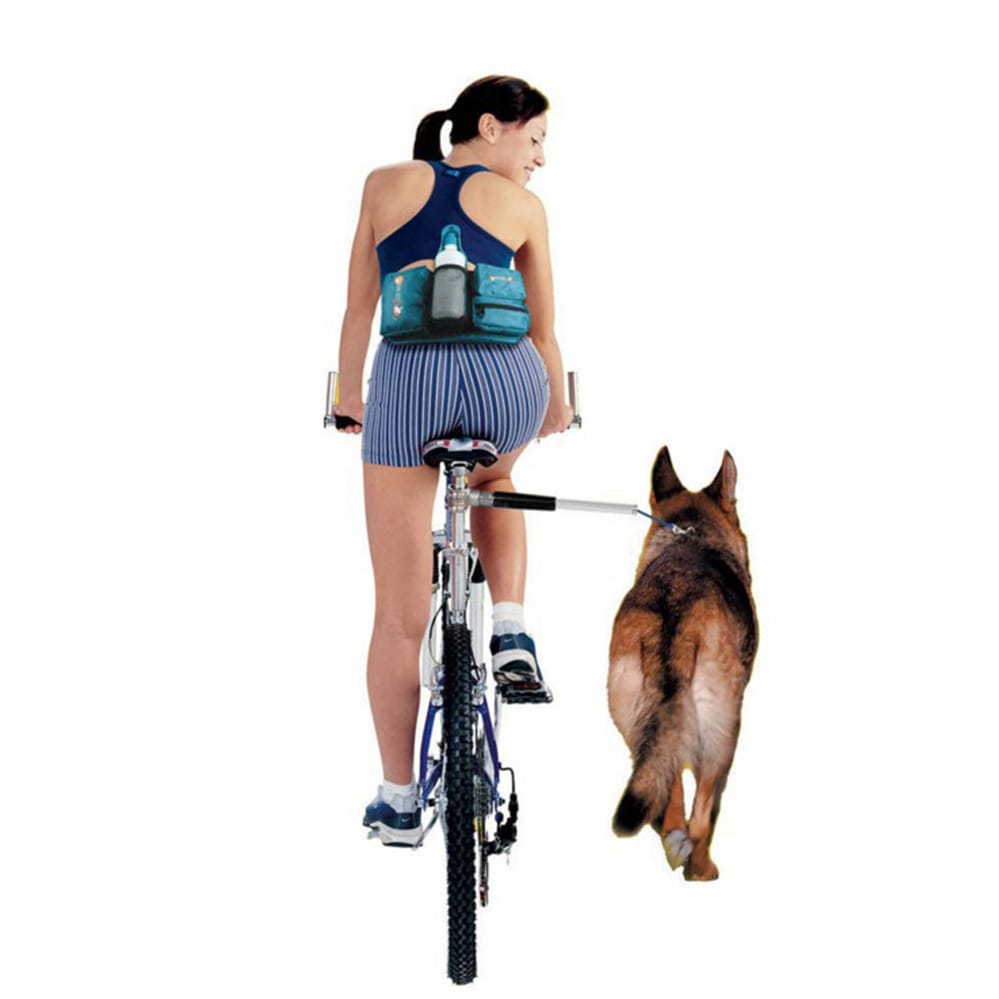 Detachable Dog Walker