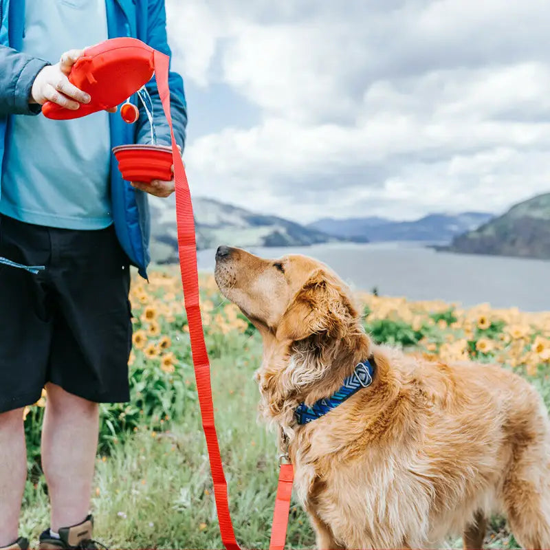 Portable Outdoor Traction Rope with Water Bottle