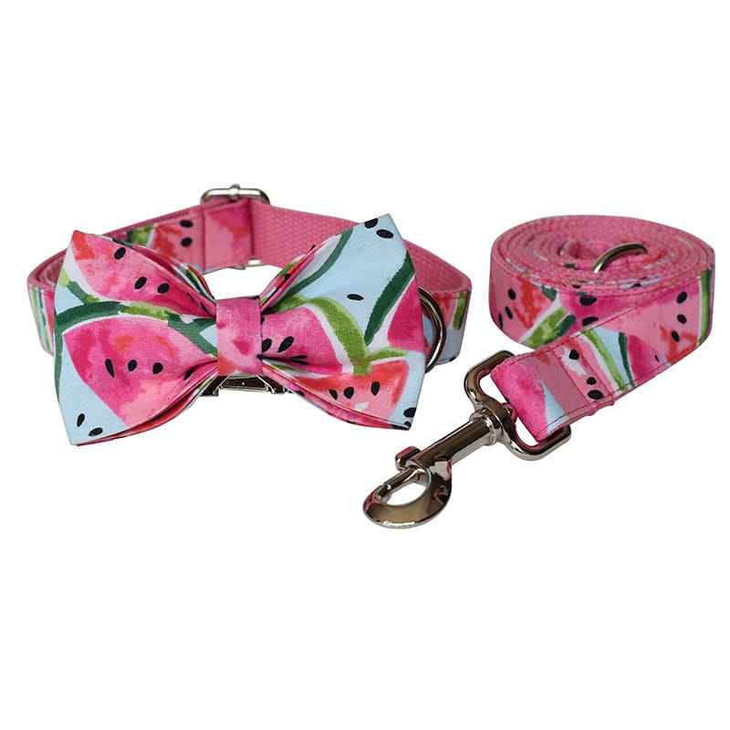 Dog Collar and Leash Set