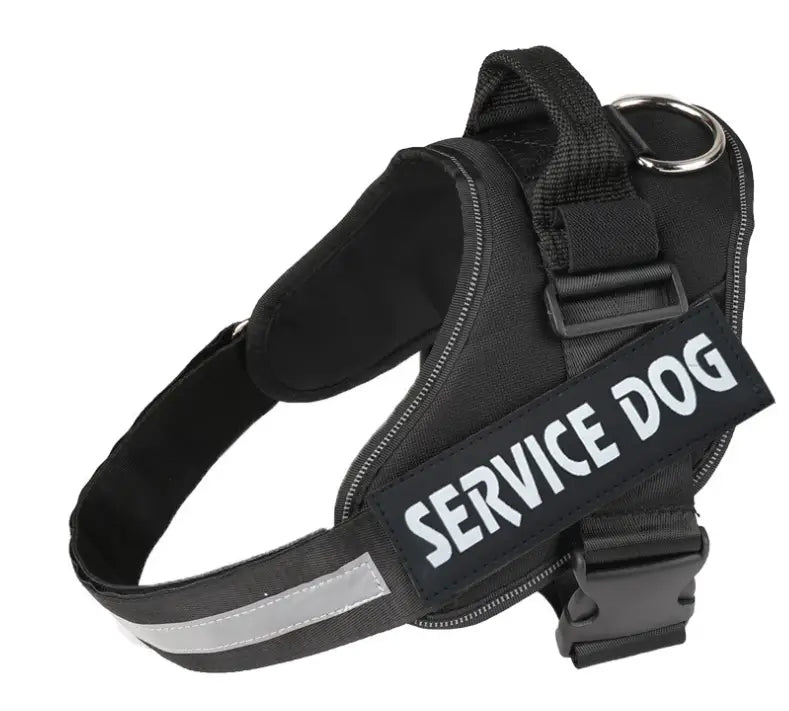 Pet Chest Harness with Traction Rope