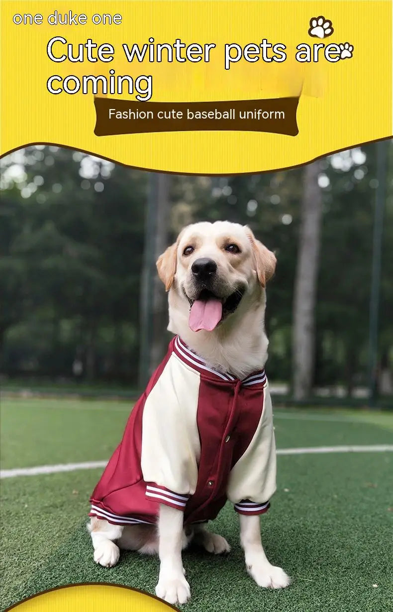 Baseball Uniform Pet Clothing Medium Large Dog Golden