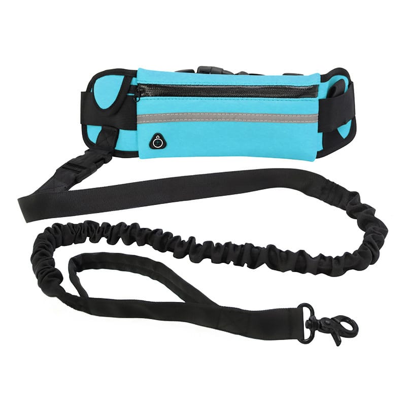 Hands-Free Dog Leash and Training Belt