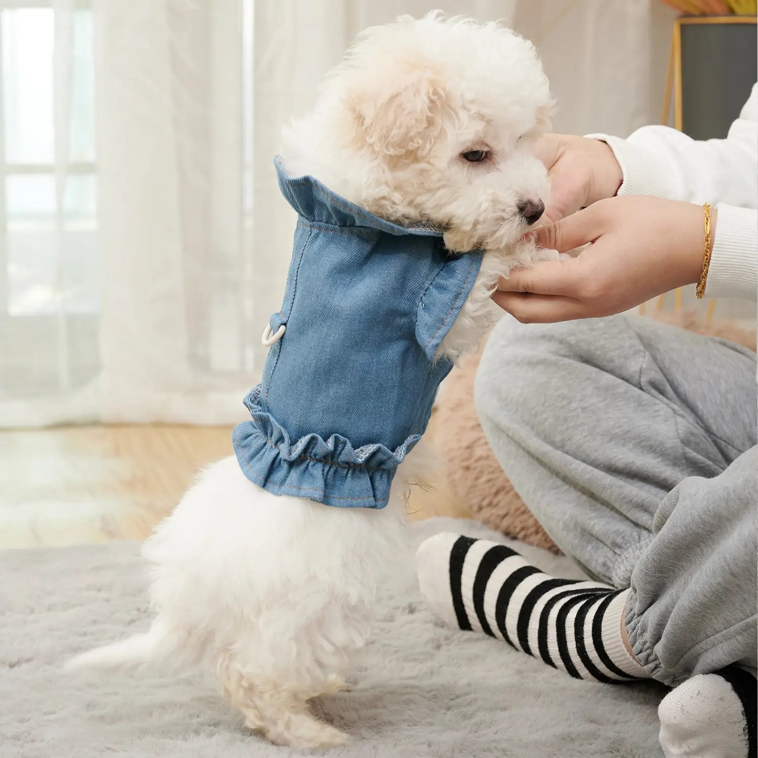 Stylish Denim Harness Vest for Dogs