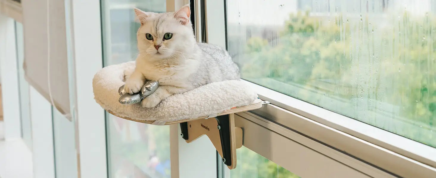 Durable Cat Window Perch