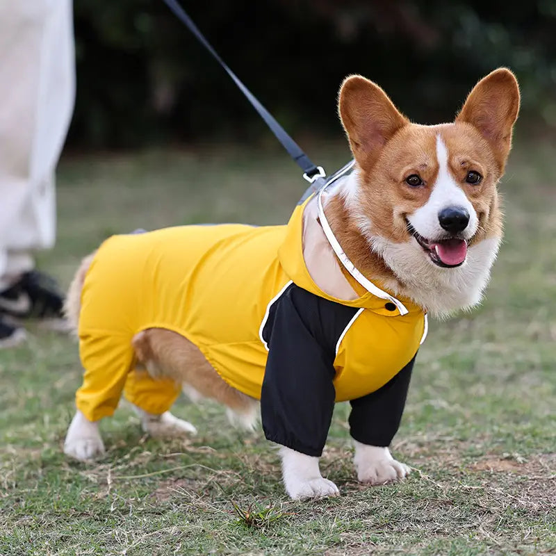 Waterproof Dog Poncho