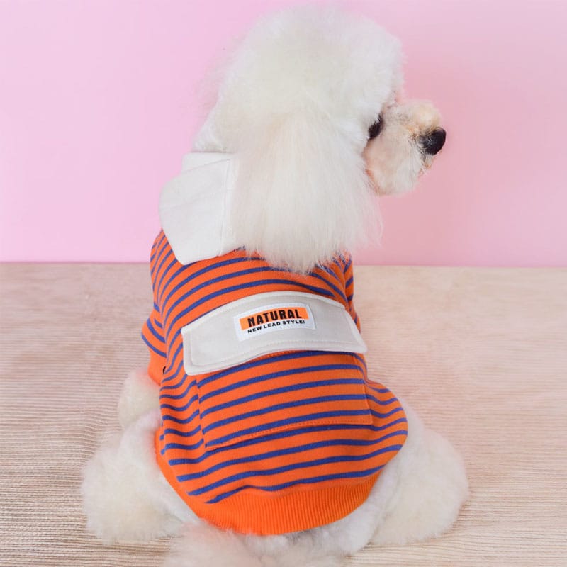 Striped Hooded Pet Sweater